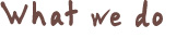 Header - What we do